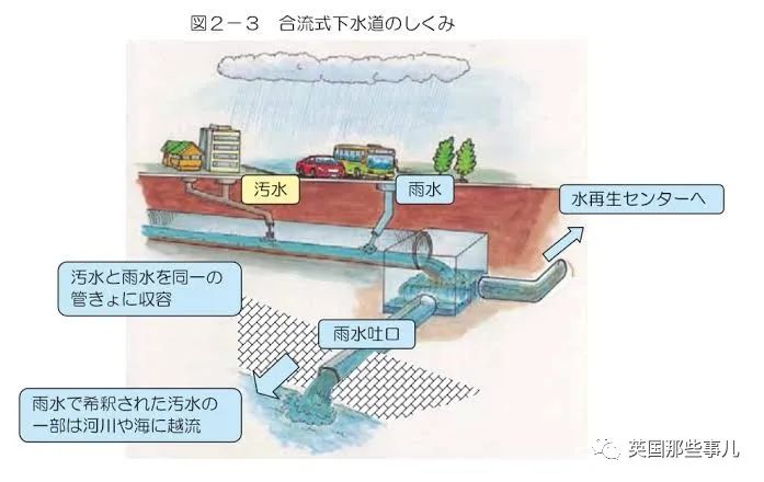 日本游泳冠军男_日本游泳比赛吐了_日本游泳比赛冠军吐了